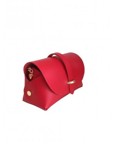 Messenger Bag